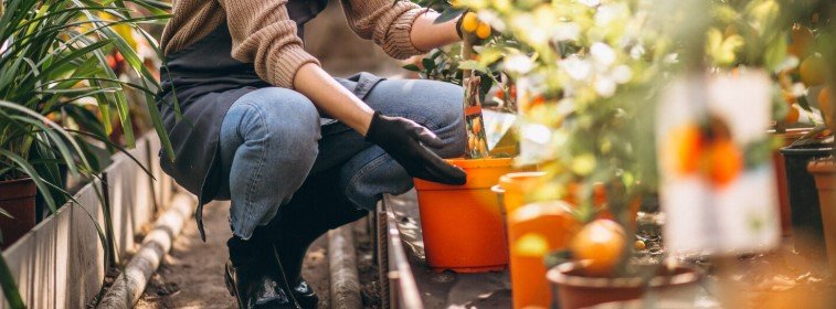 Kertészeti brigádvezető Budapest 3. kerület – kertgondozás, azonnali munkakezdés