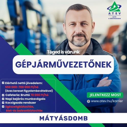 Tehergépjármű vezető