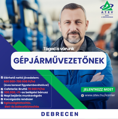 Tehergépjármű vezető
